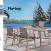 Flavium dining set