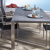 Carver SS Dining Set                                                                          