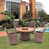 Thailor dining set (6 chairs + 1 table )