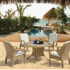 Tango dining set(5PCS/SET:1 table+ 4 chairs)